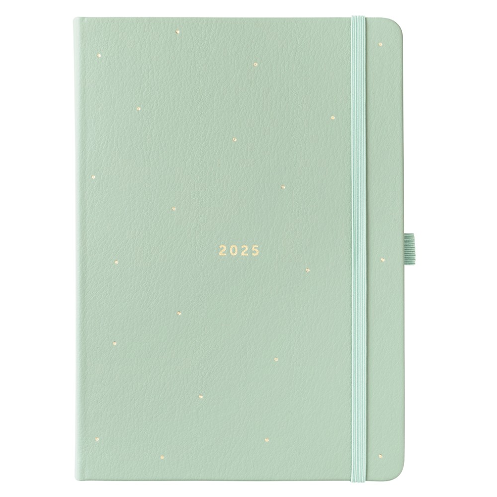 Lined Daily Diary | A5 Sage Day-to-Page Planner | Stakelum Store