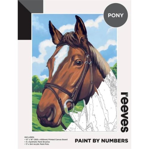 Reeves: Paint By Numbers Acrylic - Pony (12"x16")