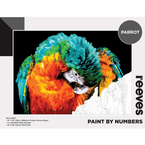 Reeves: Paint By Numbers Acrylic 12x16inch Parrot