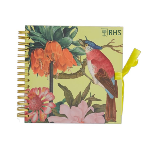 RHS SCRAPBOOK 8" TROPICAL