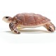 Schleich 14876 WILD LIFE Hawksbill Sea Turtle Figurine | Ages 3+
