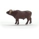 Schleich 14872 African Buffalo Figurine | Educational & Imaginative Play