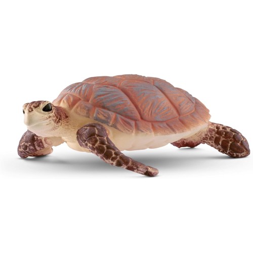 Wildlife Hawskbill Sea Turtle