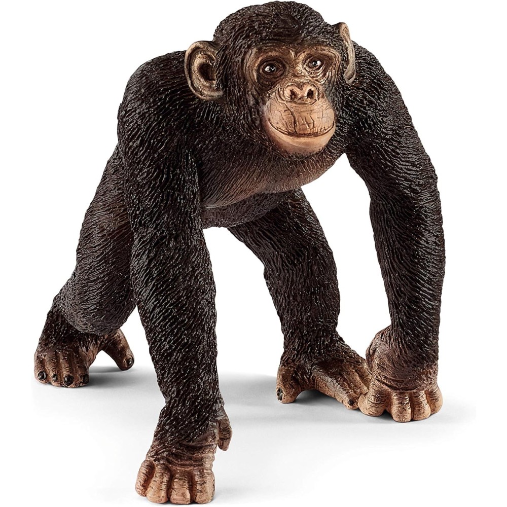 Schleich Wildlife Starter Set | Ages 3+ | Realistic Animal Figurines