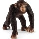 Schleich Wildlife Starter Set | Ages 3+ | Realistic Animal Figurines