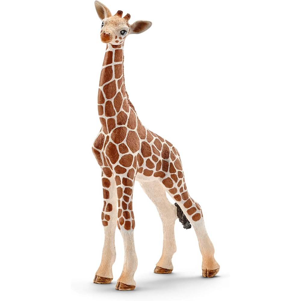 Schleich Wildlife Starter Set | Ages 3+ | Realistic Animal Figurines