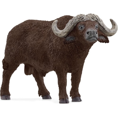 Wildlife African Buffalo