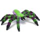 KLiXX Spider Asst (Blue & Green) 