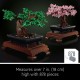 LEGO Icons Bonsai Tree Building Set for Adults 10281