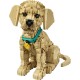 LEGO Icons Golden Retriever Puppy 11384 – Posable Dog Figure Building Set for Adults