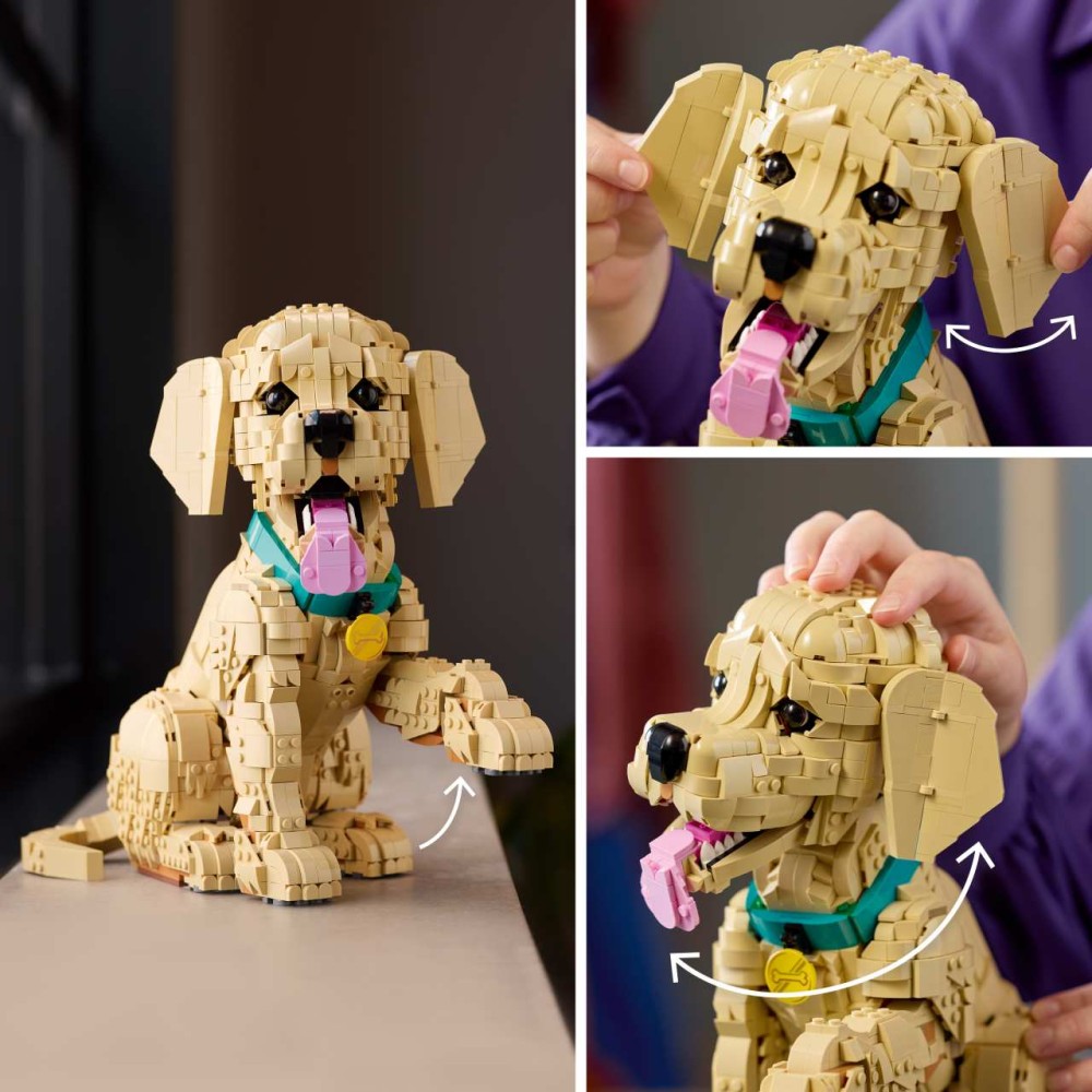 LEGO Icons Golden Retriever Puppy 11384 – Posable Dog Figure Building Set for Adults