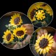 LEGO Botanicals Sunflower Bouquet Flower Decor 11502