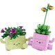 LEGO Botanicals Rocking Plants 11506