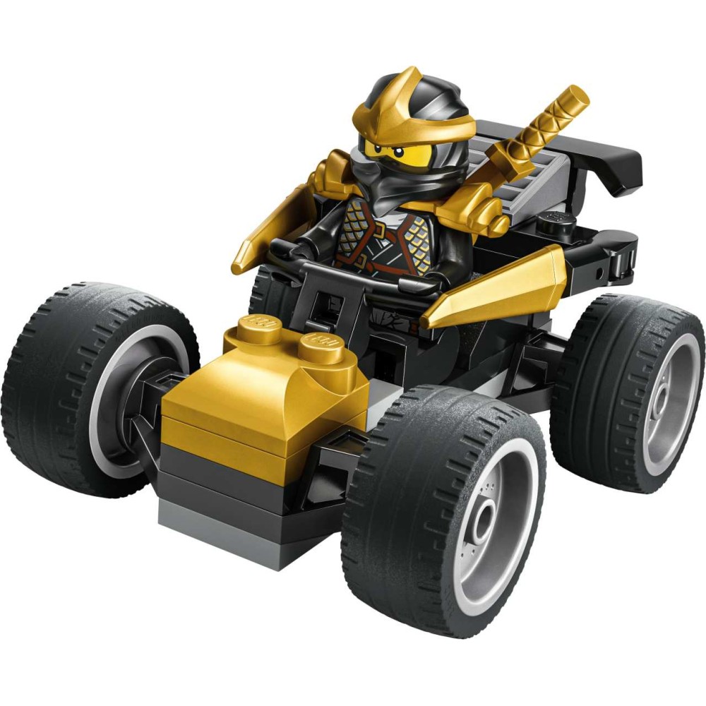 Ninja Cole’s Car