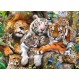 Big Cat Nap XXL 200pc