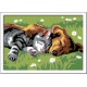Ravensburger CreArt Paint by Numbers - Sleeping Cats and Dogs