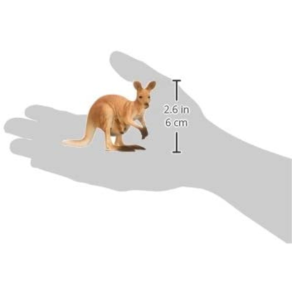 Kangaroo