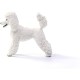 SCHLEICH Animal Figurine Poodle