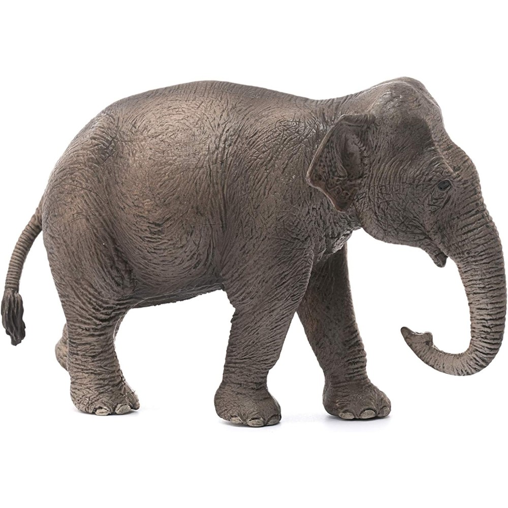 SCHLEICH 14753 Asian elephant Wild Life 