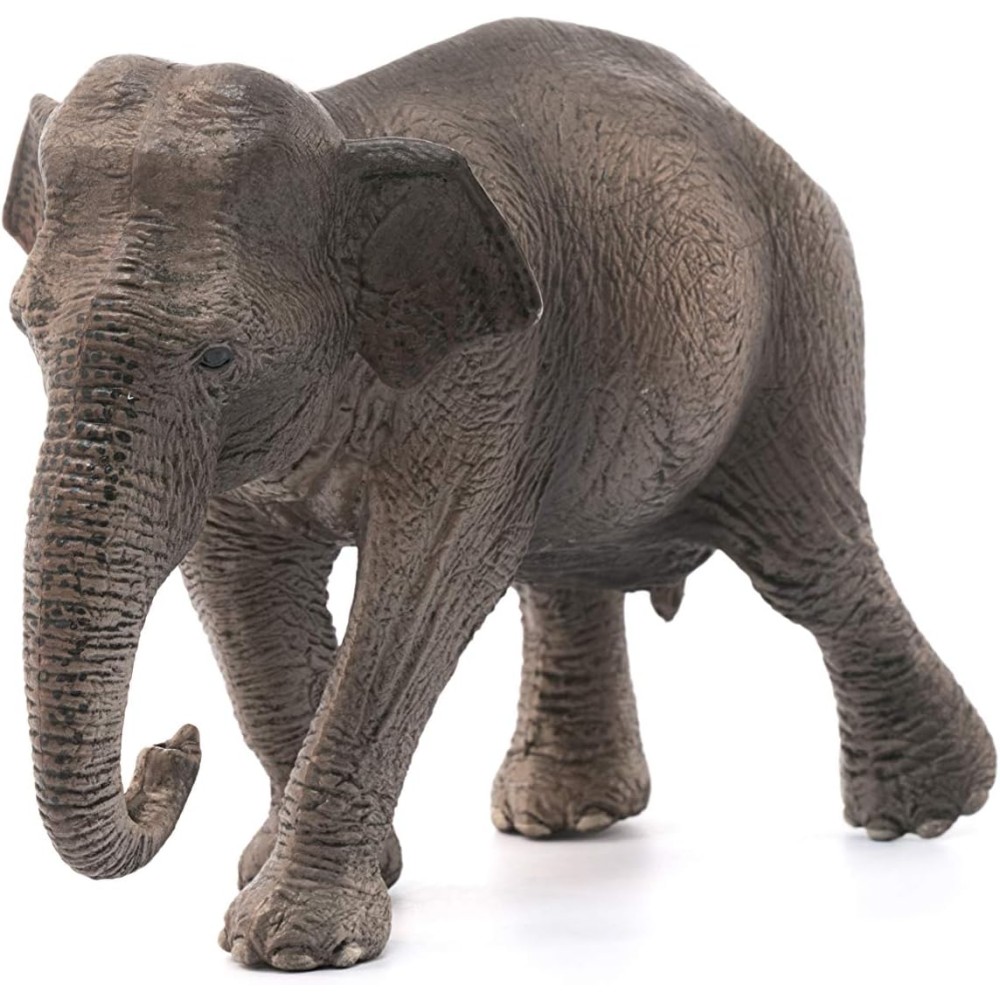 SCHLEICH 14753 Asian elephant Wild Life 