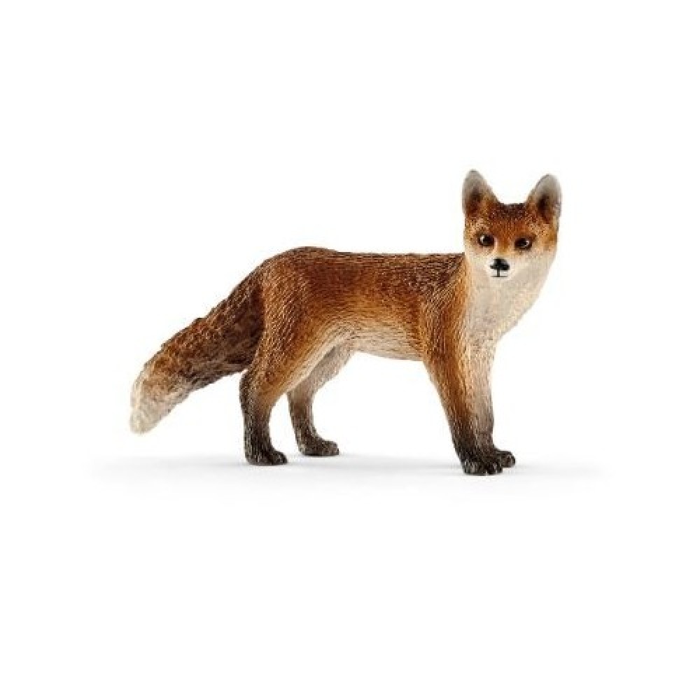 FOX