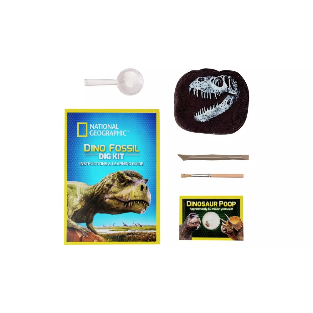 National Geographic Dino Fossil Dig Kit