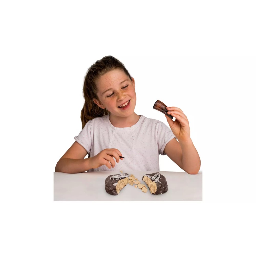 National Geographic Dino Fossil Dig Kit