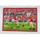 Cork GAA Jigsaw Puzzle Age 4+