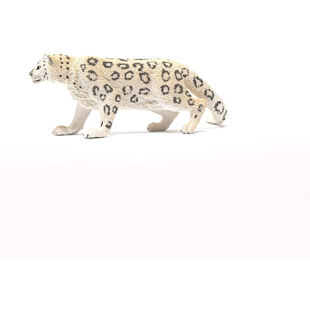 Snow Leopard