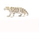 Snow Leopard