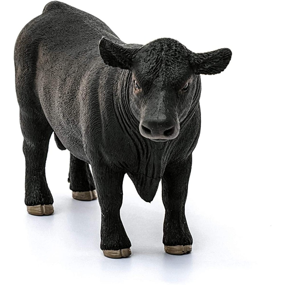 Black Angus Bull