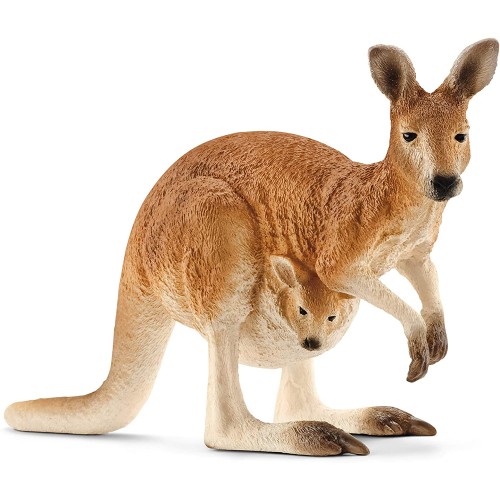 Kangaroo