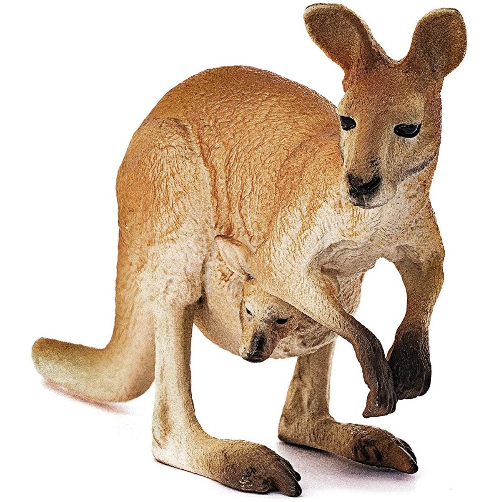 Kangaroo
