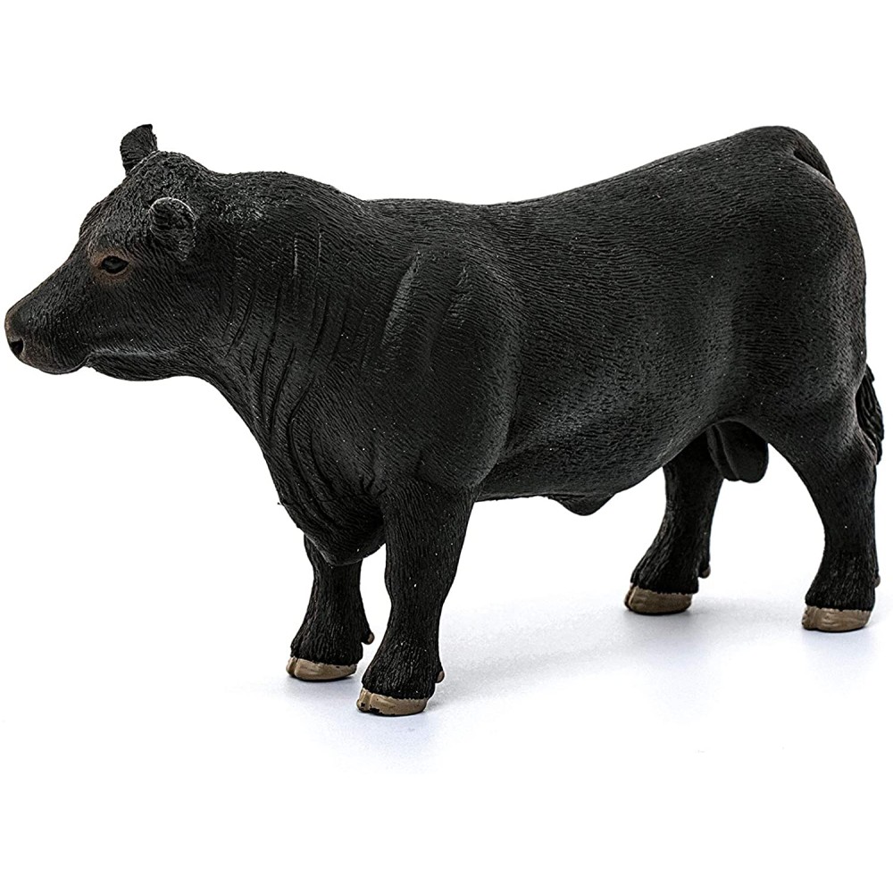 Black Angus Bull