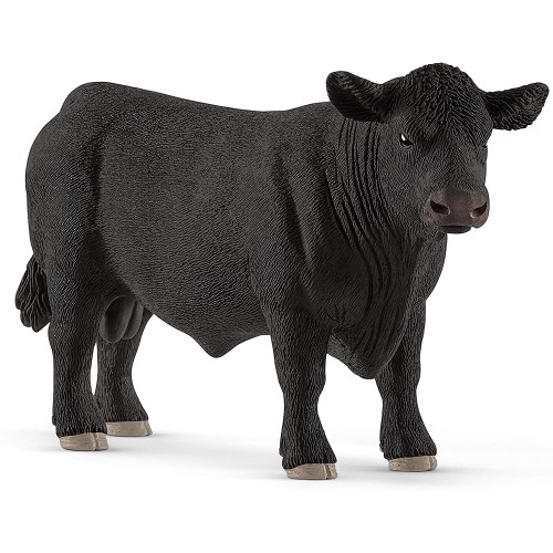 Black Angus Bull