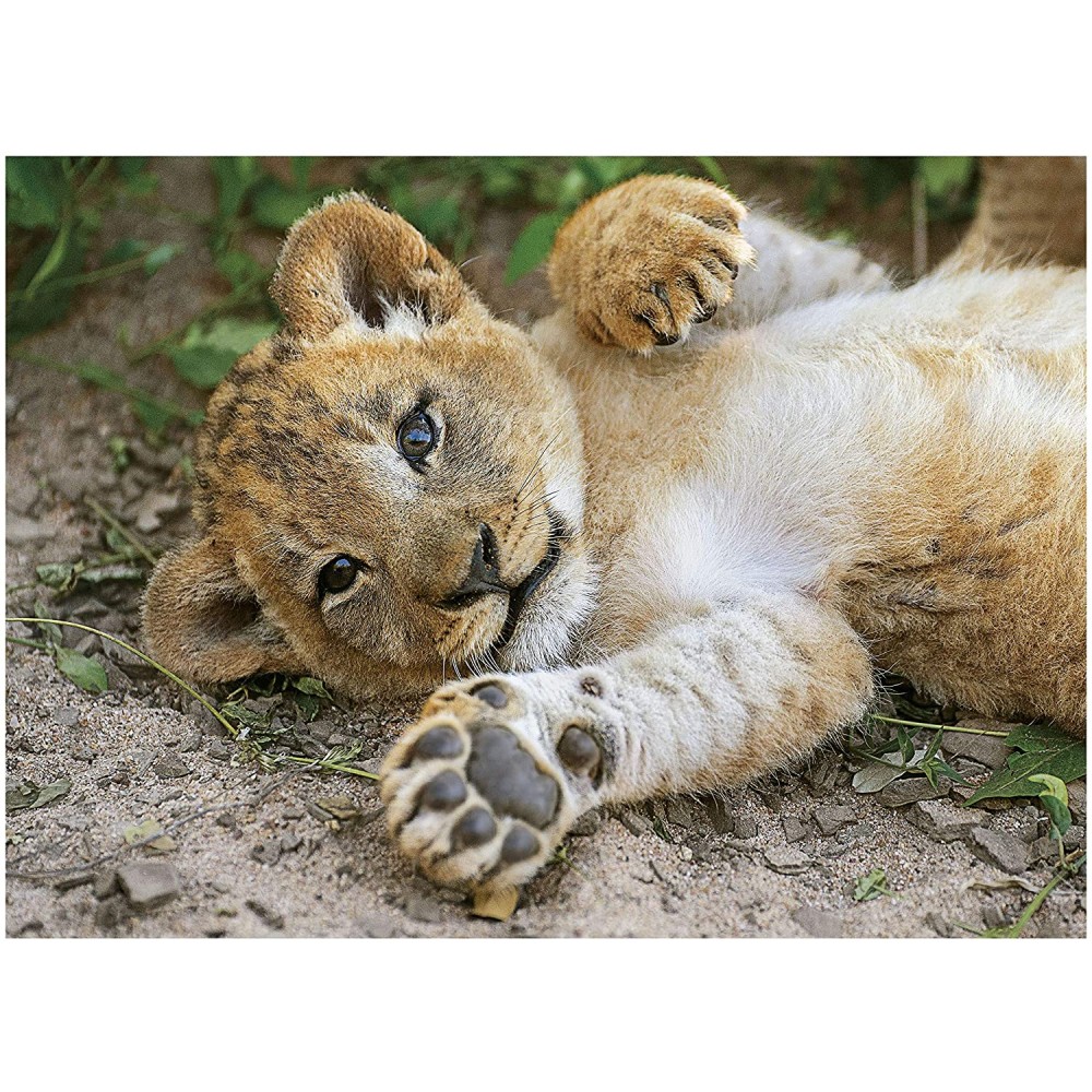 Clementoni - Wildlife Puzzle Set