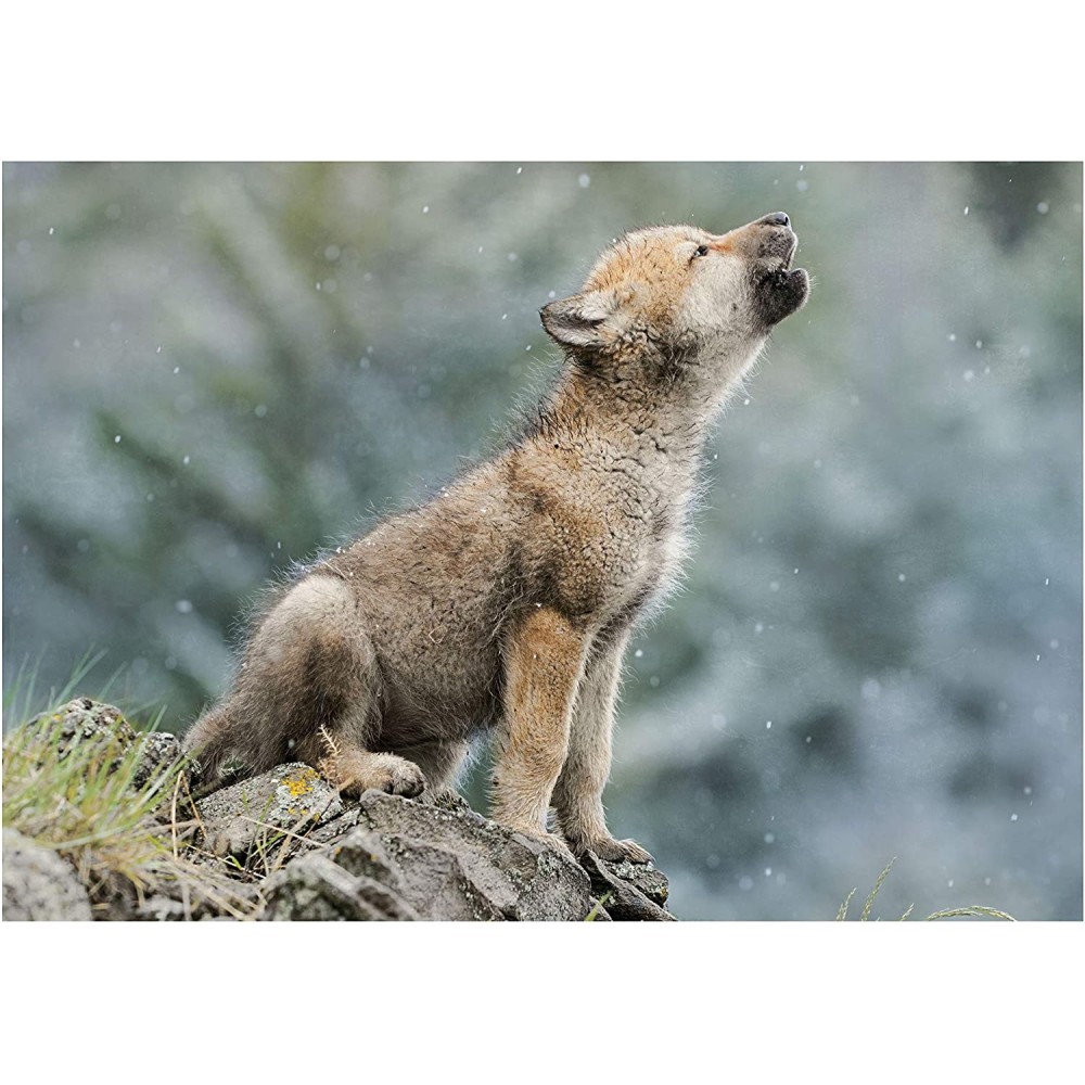 Clementoni - Wildlife Puzzle Set