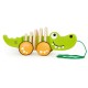Walk-A-Long Crocodile