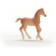 HORSE CLUB Arab Foal Figurine