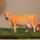 FARM WORLD Jersey Cow Figurine