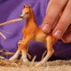 HORSE CLUB Arab Foal Figurine