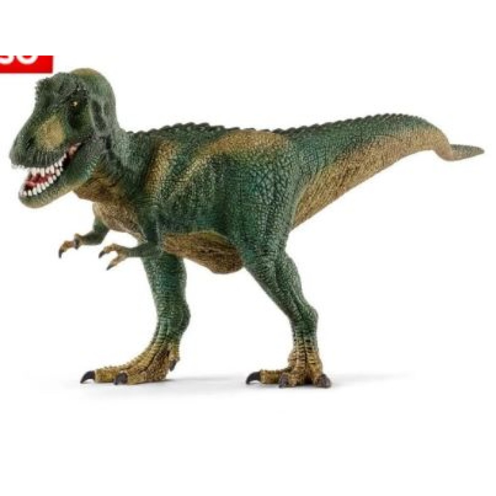 Tyrannosaurus  Rex