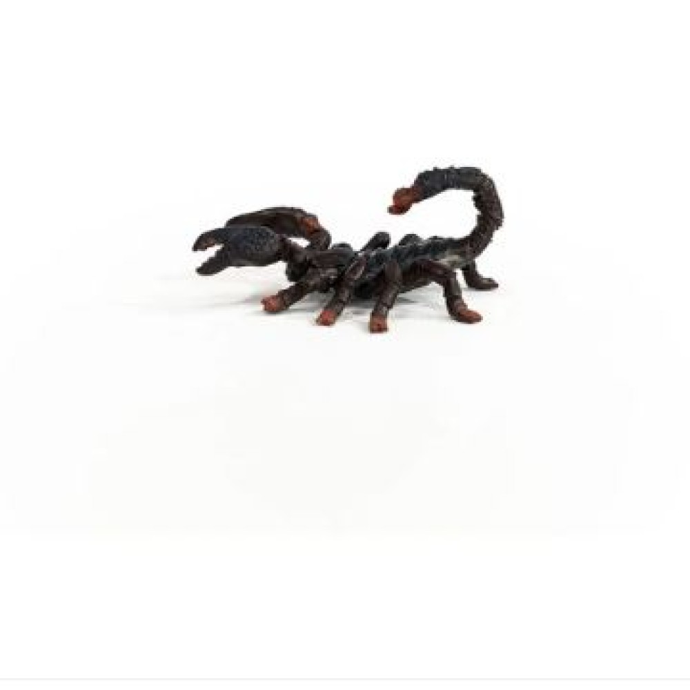 Emperor Scorpion