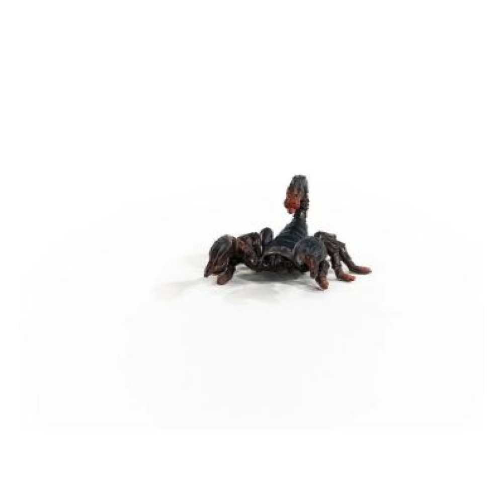 Emperor Scorpion