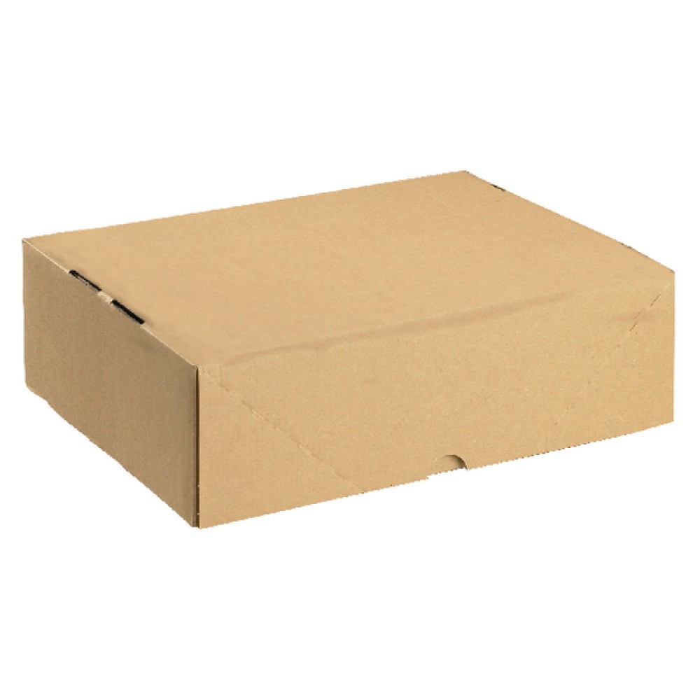 Carton With Lid 305x215x100mm Brown (10 Pack) 144667114