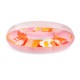 Maxi pool ring - daisy 