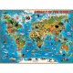 ANIMALS OF THE WORLD XXL 300PC