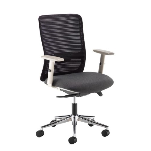 Finish: Grey, Arms: Height Adjustable Arms, Base Type: Chrome 5 Star, Back Style: Mesh, Lumbar Support: Adjustable Lumbar Support