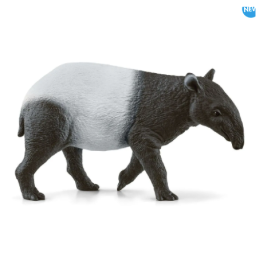 Tapir
