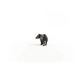 Tapir Baby